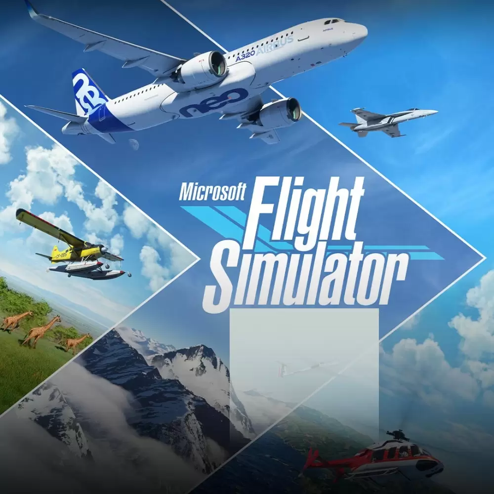 Flight Simulator