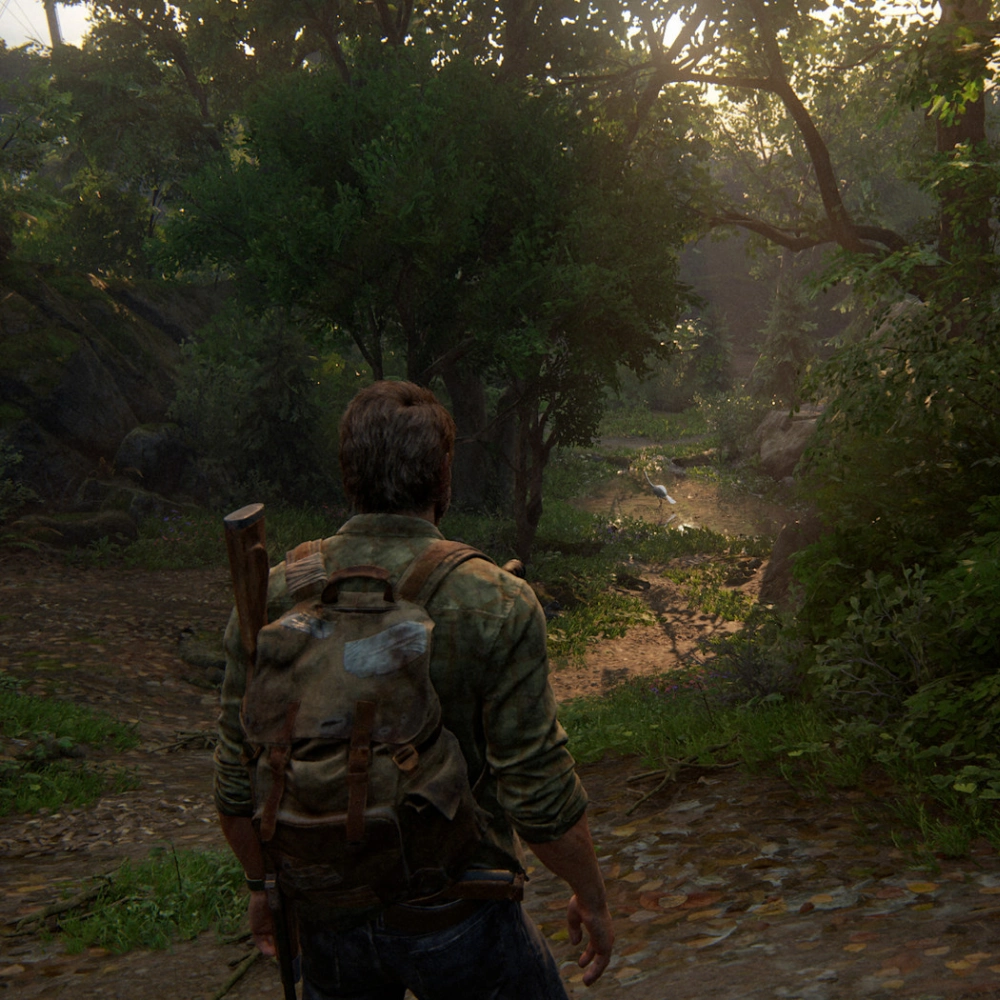 The Last Of Us Part I