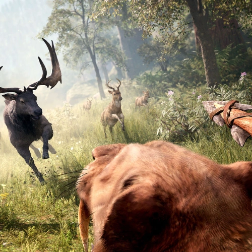 Far Cry Primal