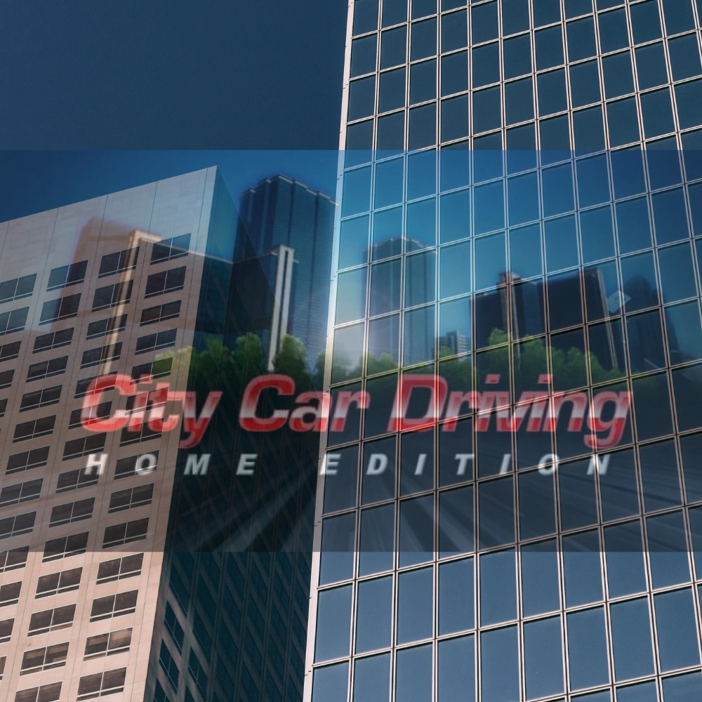 City Car Driving