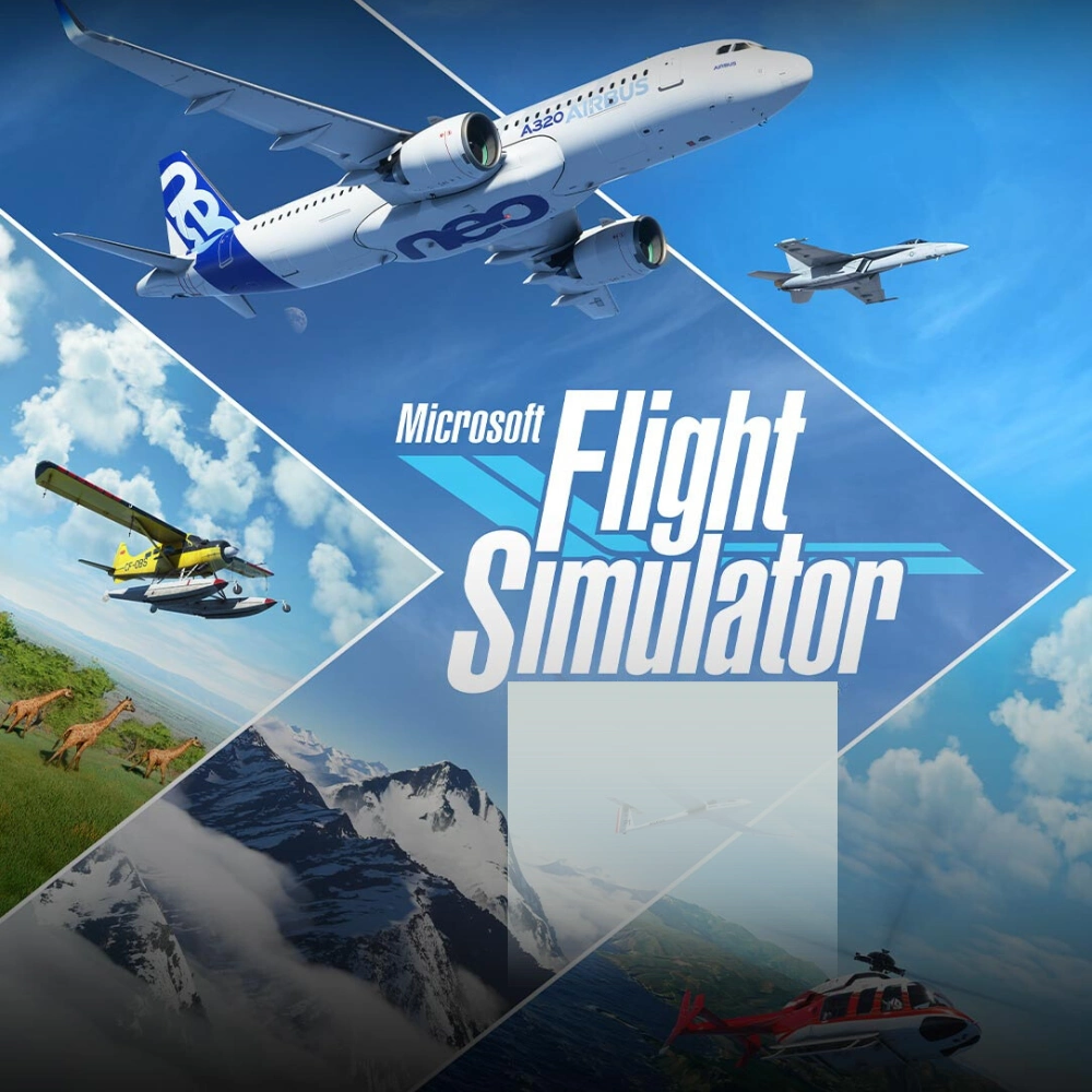 Microsoft Flight Simulator