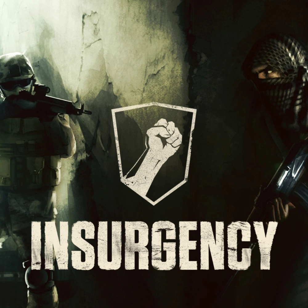 Insurgency